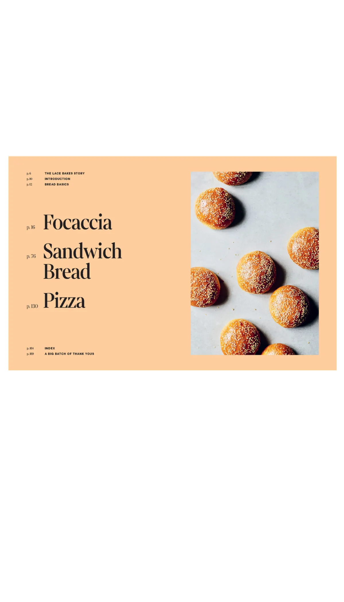 3 Doughs, 60 Recipes: Focaccia, Pizza, Sandwich Bread
