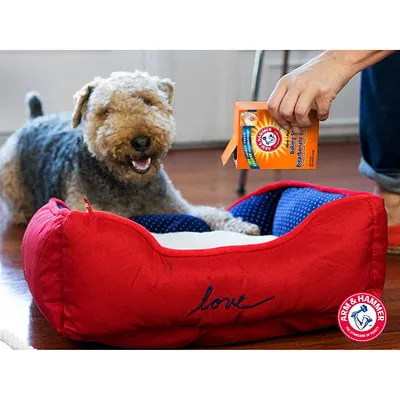 Arm & Hammer Baking Soda 500g